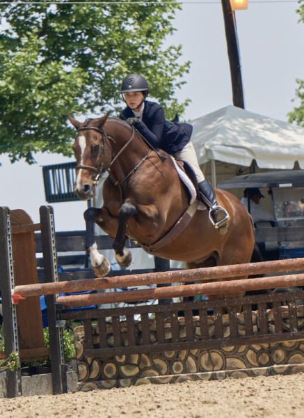 Bullock and Braden jump over the three foot log fence at the Upperville Show Grounds. Photo used with permission of Erika Wong.
